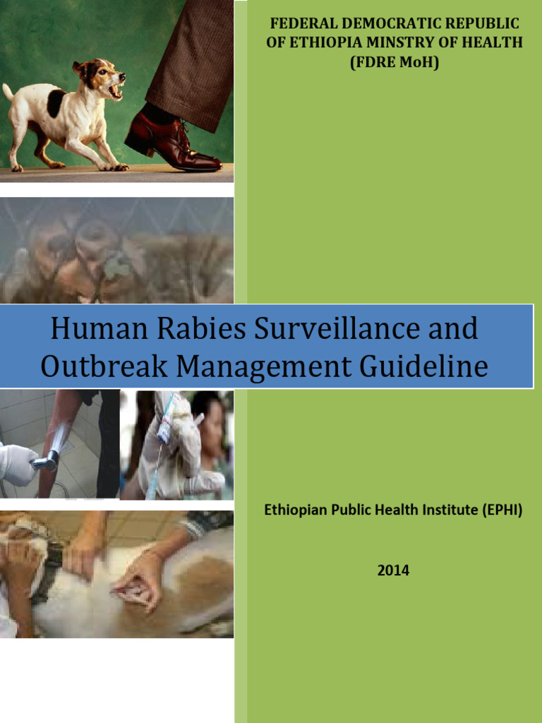 Rabies Guideline Final-April1,2014 | PDF | Rabies