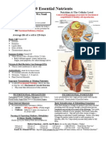 90 Essential Nutrients-Cellular Level