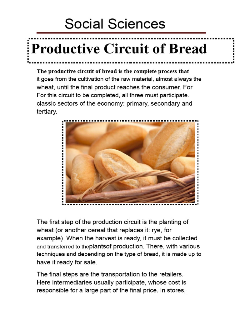 Bread Production Process Explained | PDF | Cereals | Flour
