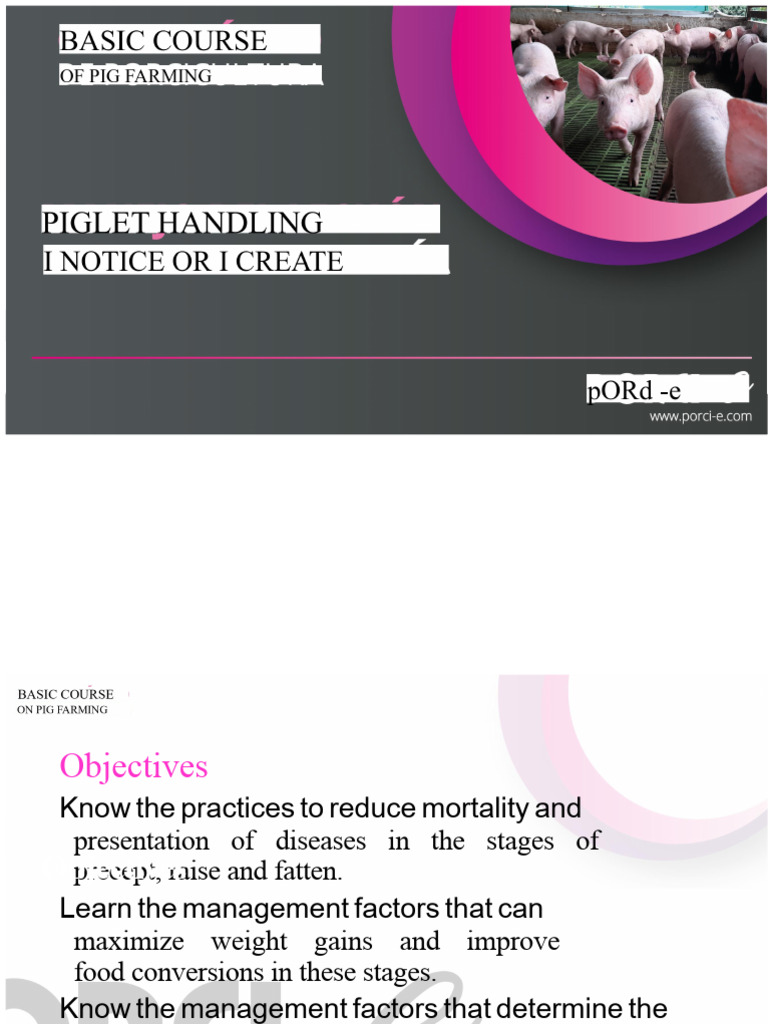 6.-Management of The Piglet From Weaning To Fattening | PDF | Pig ...