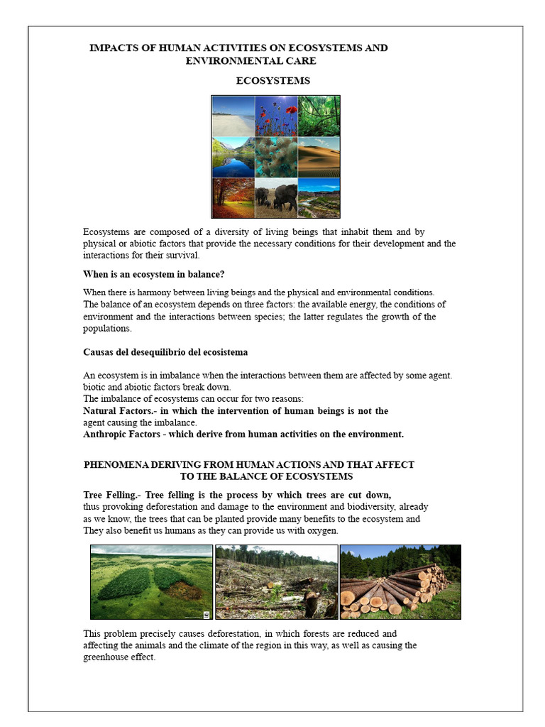 Human Impact on Ecosystems Explained | PDF | Ecosystem | Natural ...