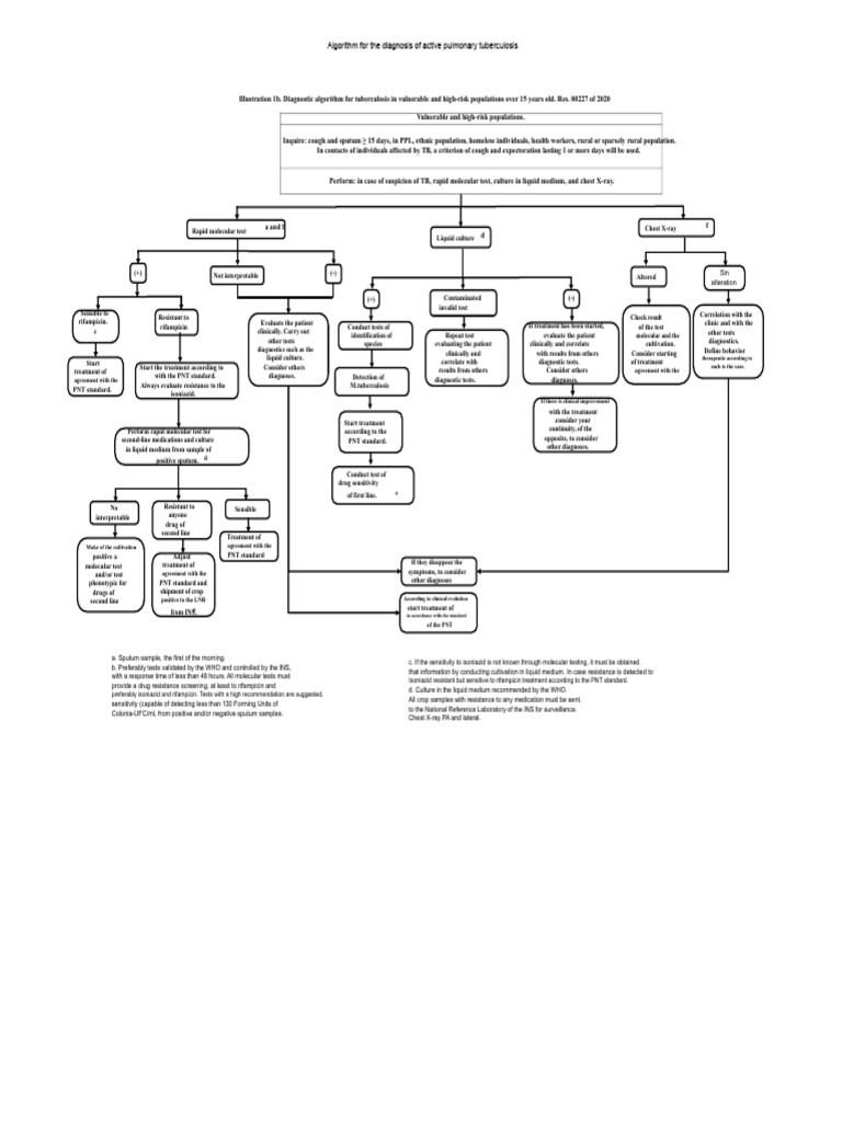 TB Diagnosis Algorithm for High-Risk Groups | PDF | Tuberculosis ...