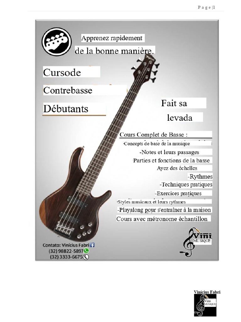 Histoire et techniques de la contrebasse | PDF | Guitare basse ...