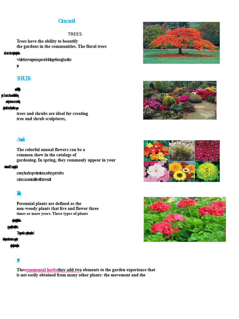 Essential Guide to Ornamental Plants | PDF | Botany | Plants