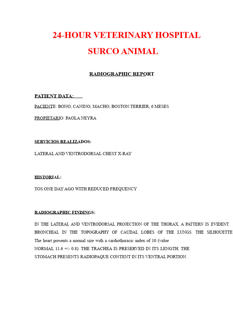 Radiological Report Model | PDF