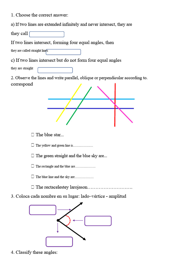 Lines and Angles | PDF