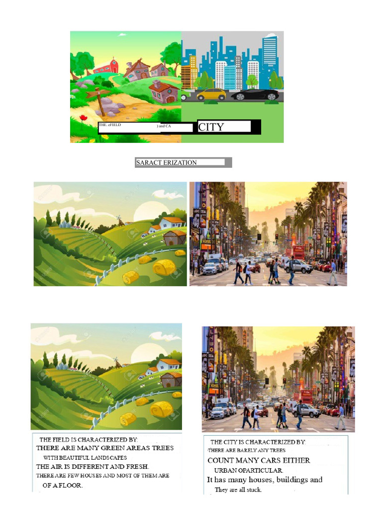 Field and City 2nd Grade | PDF