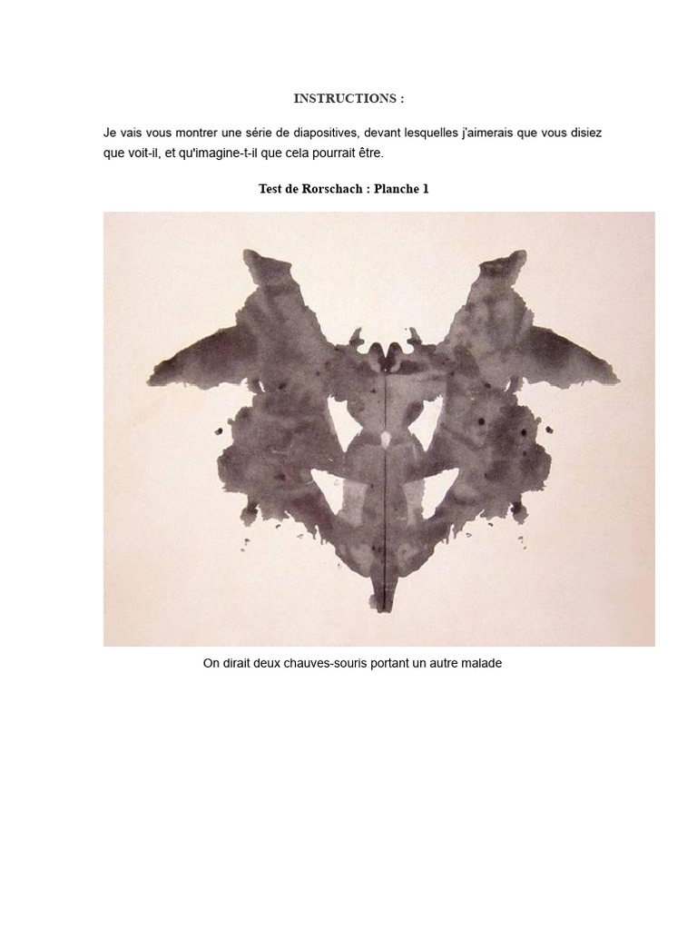 Interprétations des Tests de Rorschach | PDF