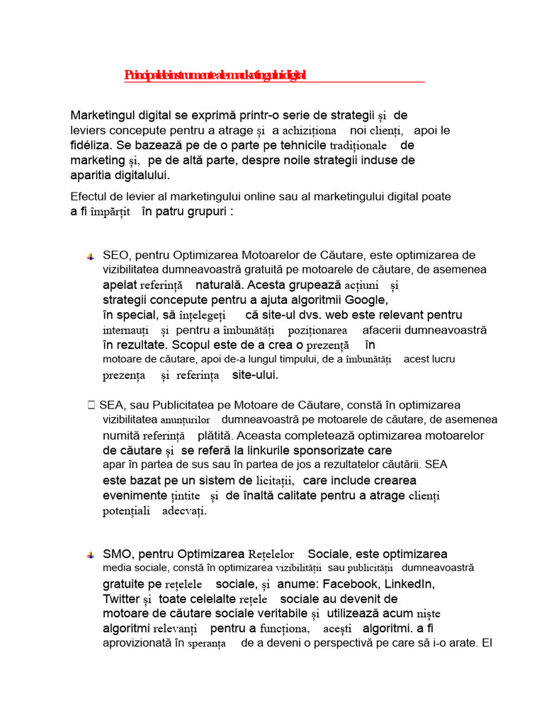 Principalele Pârghii Ale Marketingului Digital | PDF