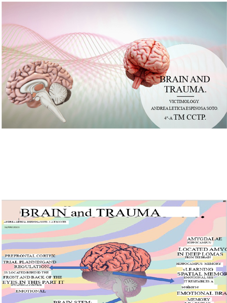 Trauma's Impact on Memory Types | PDF