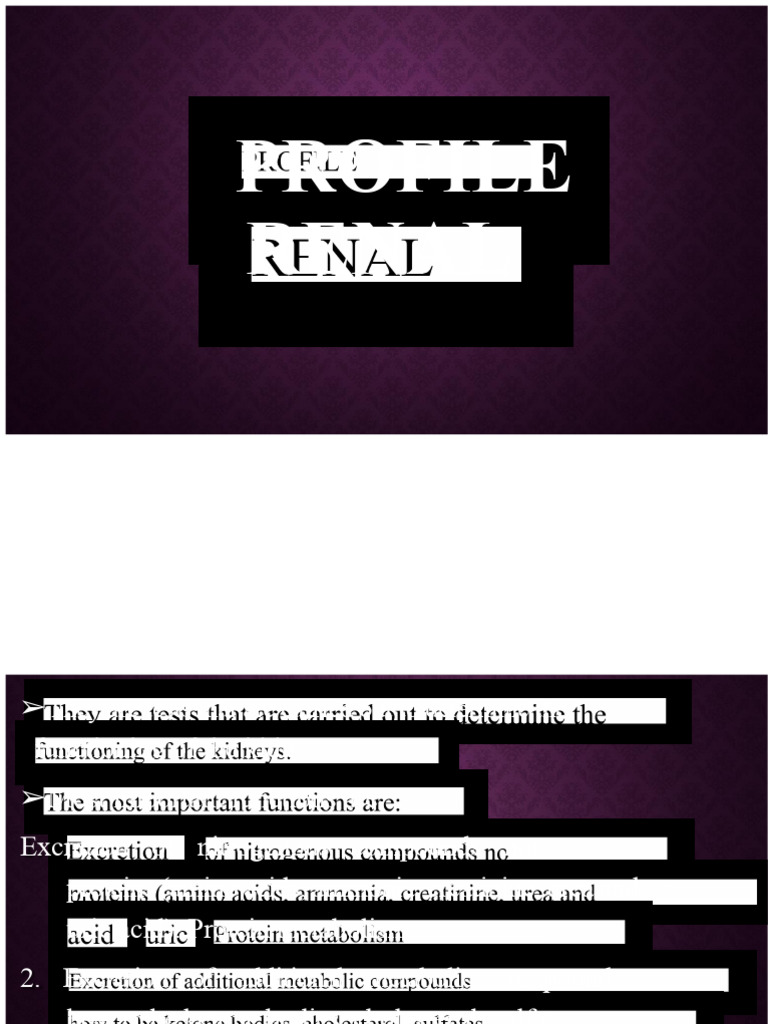 Understanding Renal Function Tests | PDF | Kidney | Creatinine