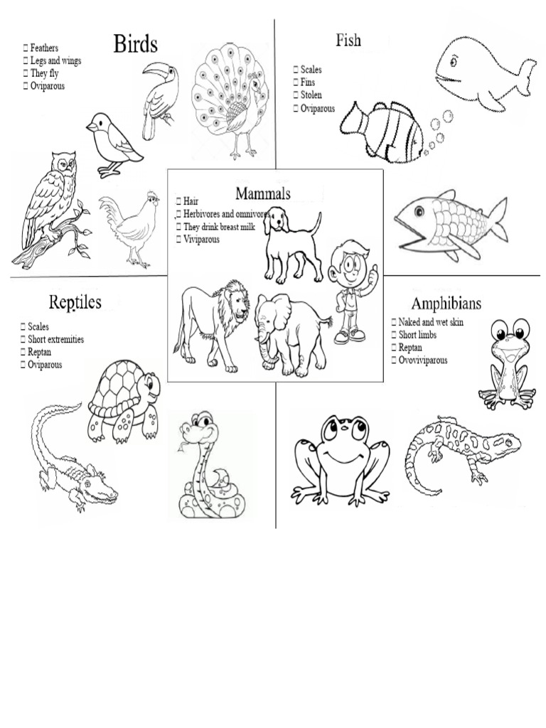 Animal Characteristics Overview | PDF