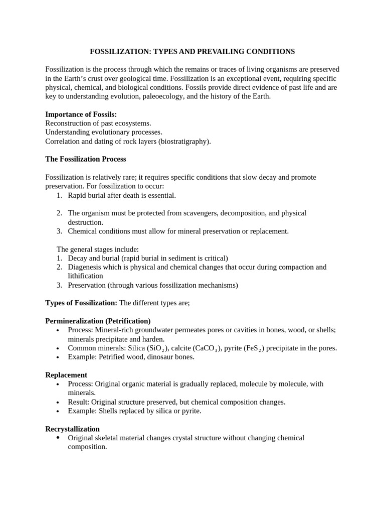 Fossilization: Types and Conditions Explained | PDF | Fossil | Shale