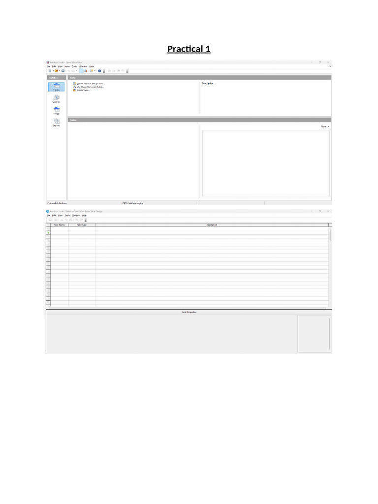 Practical Documentation | PDF