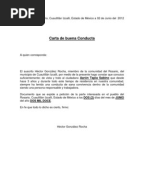 Solicitar Carta De Buena Conducta Online  Perodua t