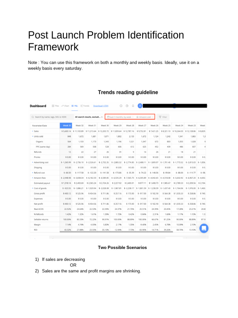 Post Launch Sales Analysis Framework | PDF