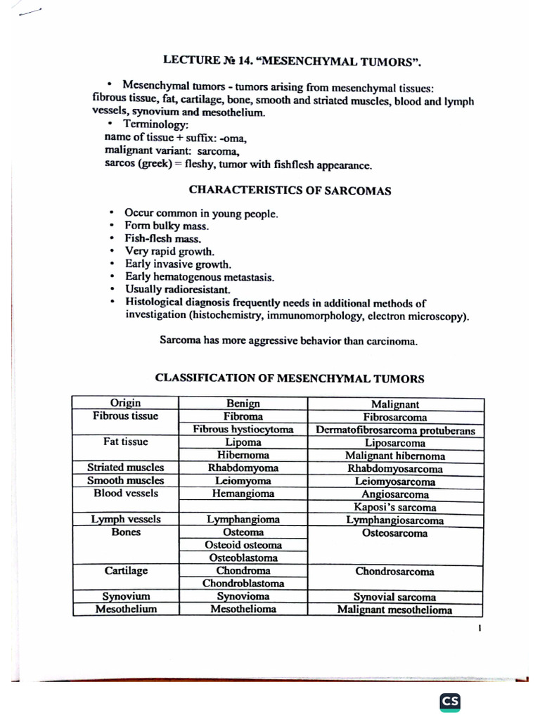 Mesenchymal Tumors | PDF