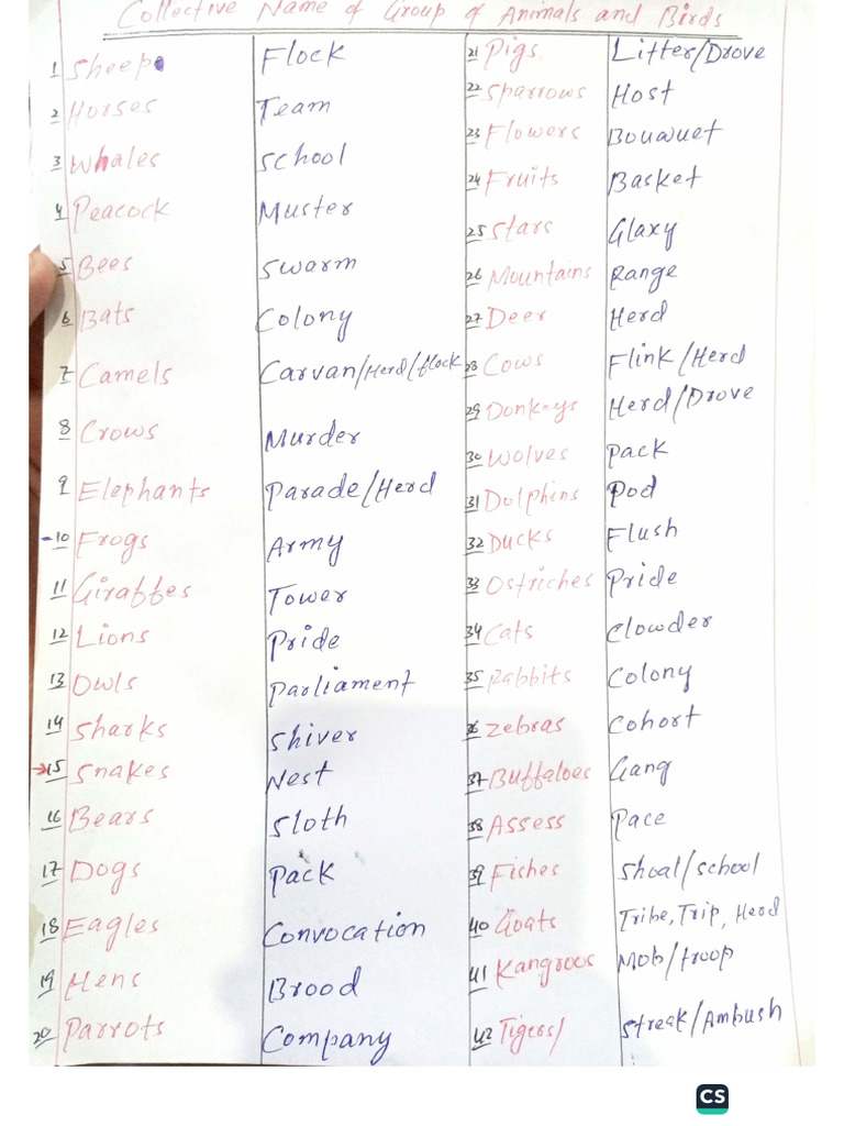 Most Imp Mcqs | PDF
