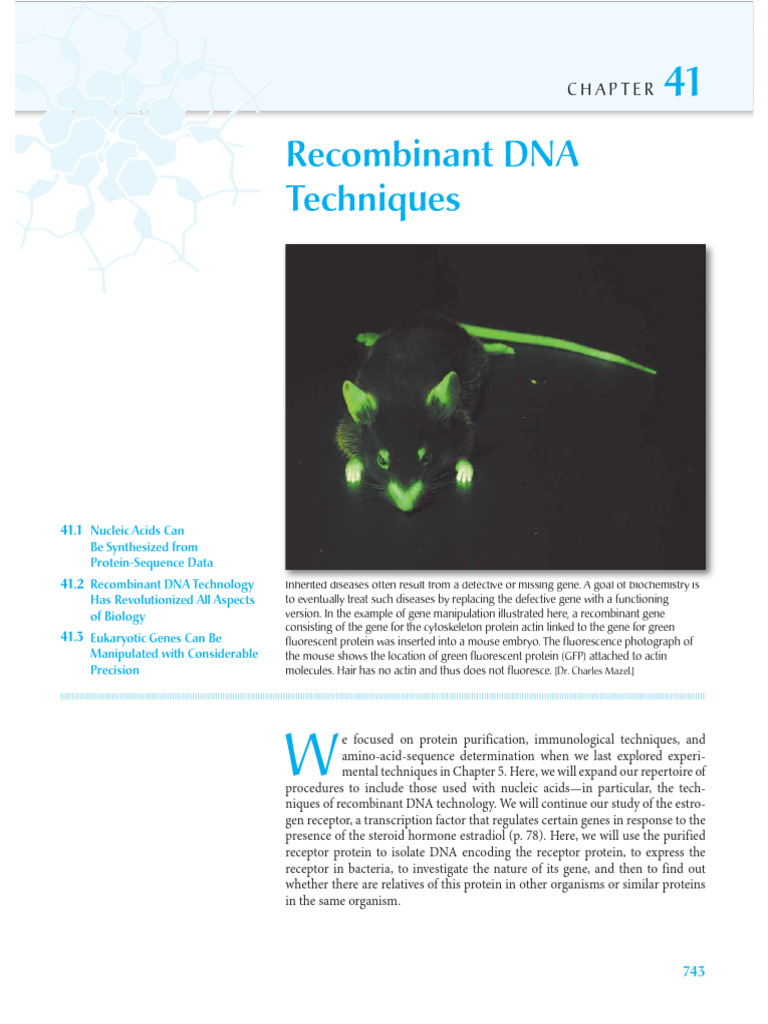 Recombinant DNA Techniques Overview | PDF | Complementary Dna | Gel ...