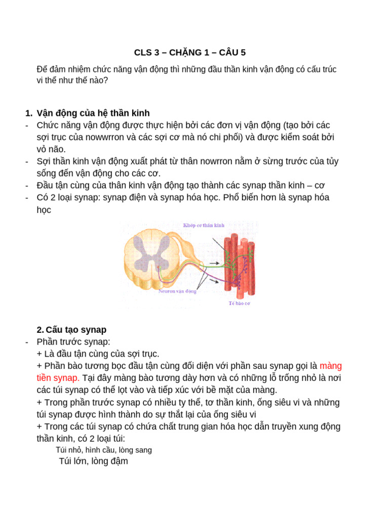 CLS 3 CHẶNG 1 CÂU 5 | PDF