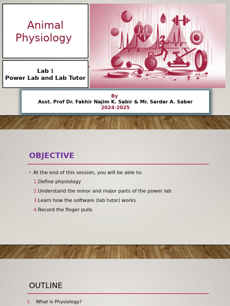 Physio Lab 1 | PDF | Physiology | Amplifier
