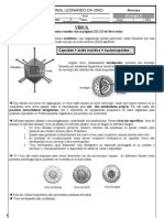 Apostila Virus