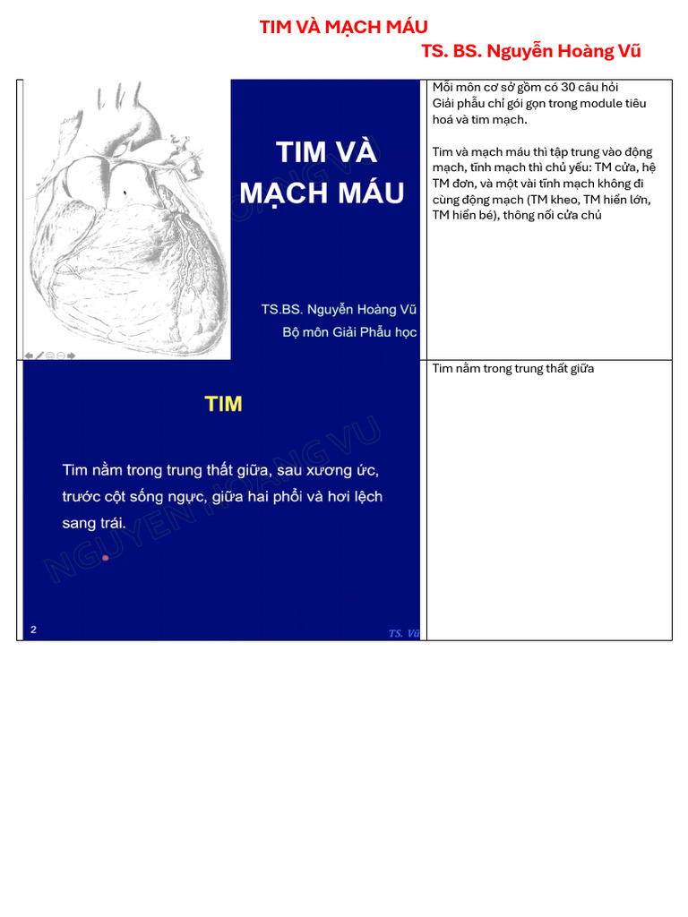 Tim M CH Máu | PDF