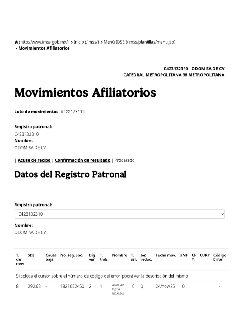 Módulo de Movimientos Afiliatorios - IDSE - Instituto Mexicano Del