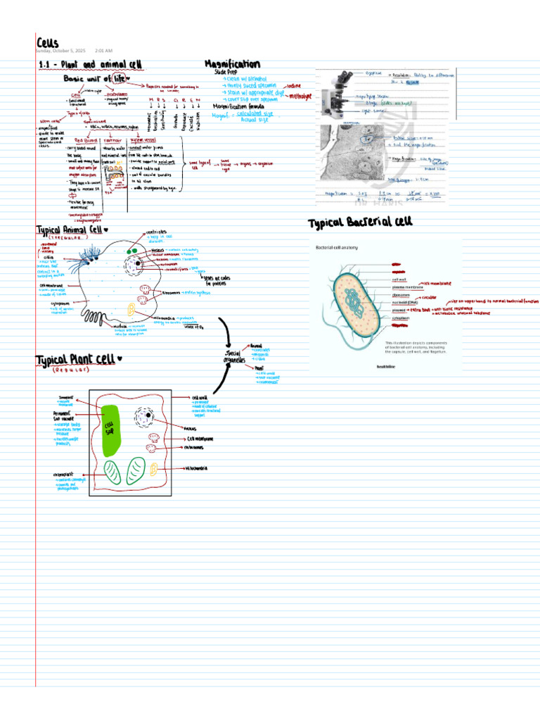 Chapter 1 Cells Notes | PDF