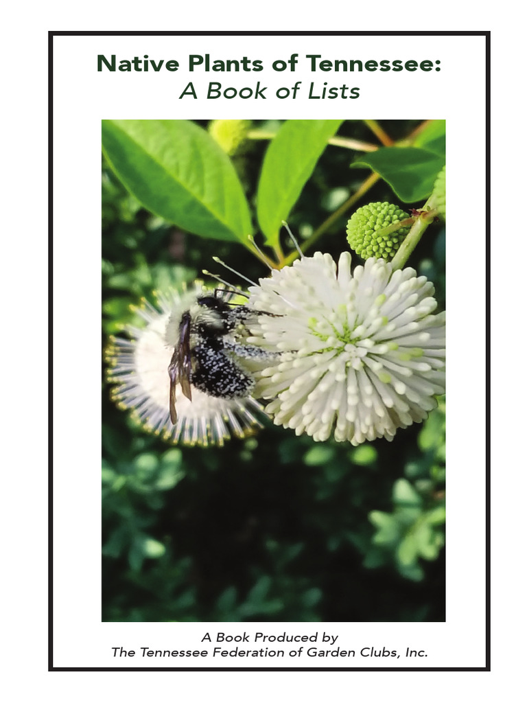 Tennessee Native Plants Guide | PDF | Gardens | Trees