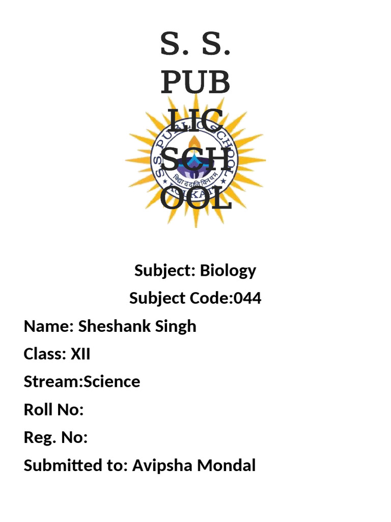 SSP Project Cover (1) | PDF