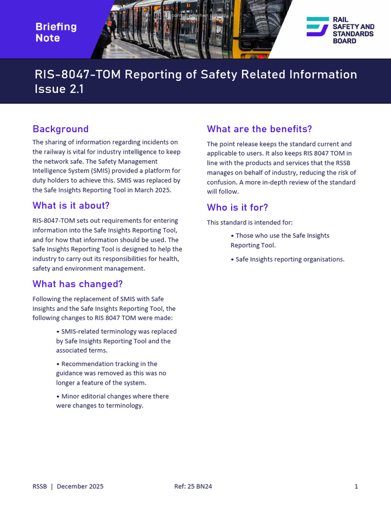 Safe Insights Reporting Tool Guidelines | PDF