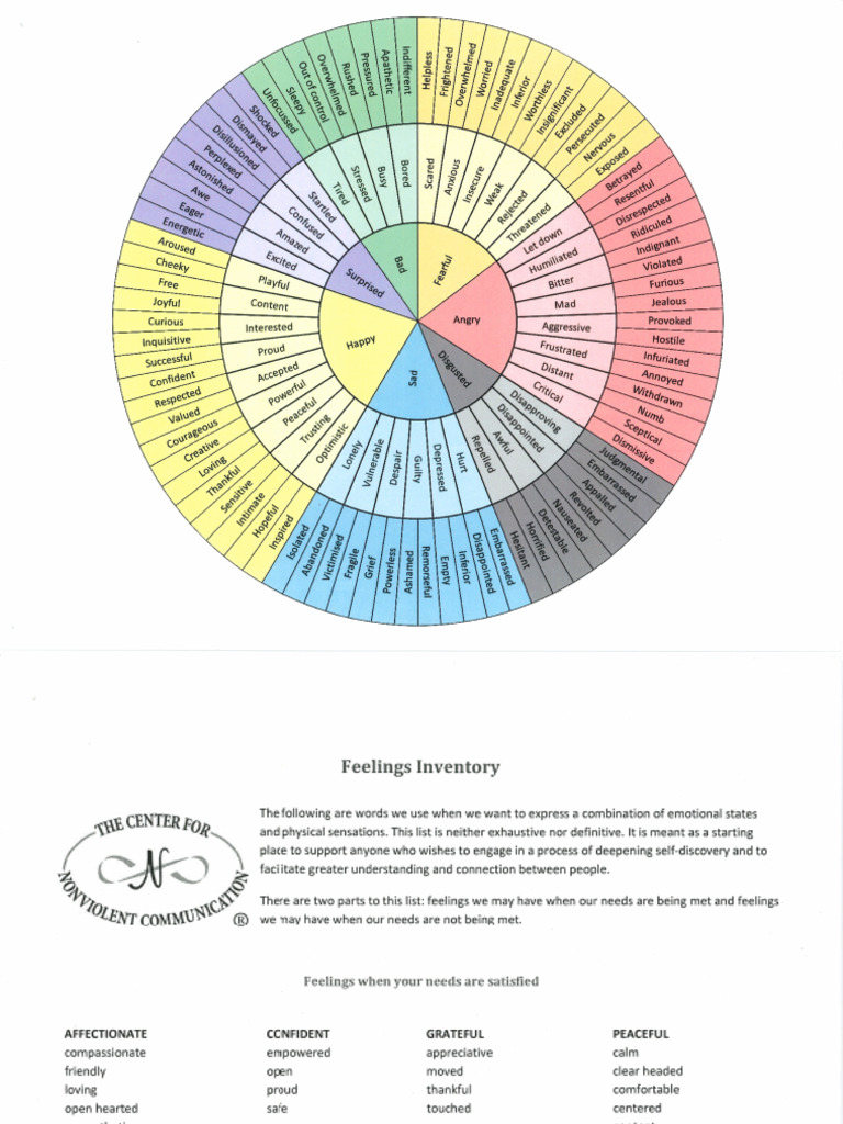Emotional Feelings and Needs Inventory | PDF