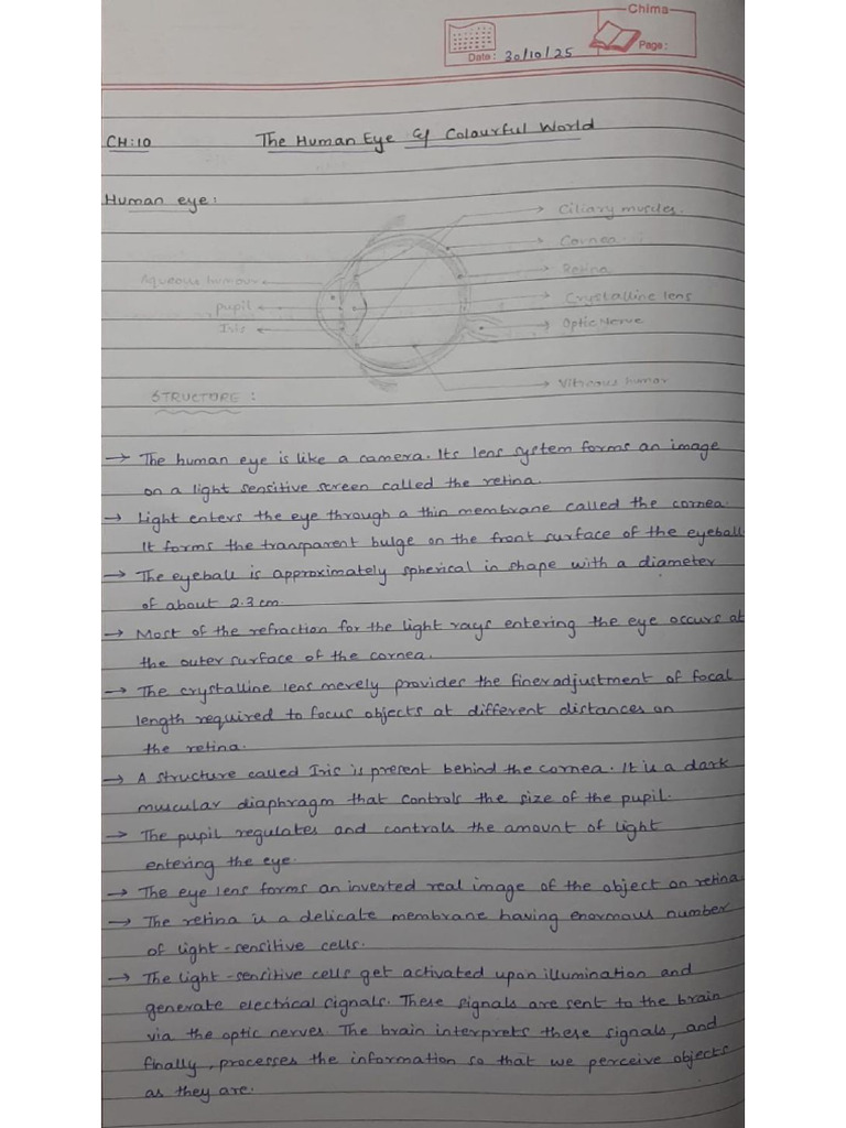 Ch Human Eye | PDF