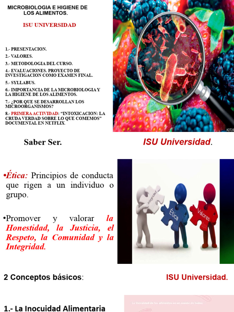 Microbiologia e Higiene de Los Alimentos.pptx | PDF | Alimentos | Limpieza
