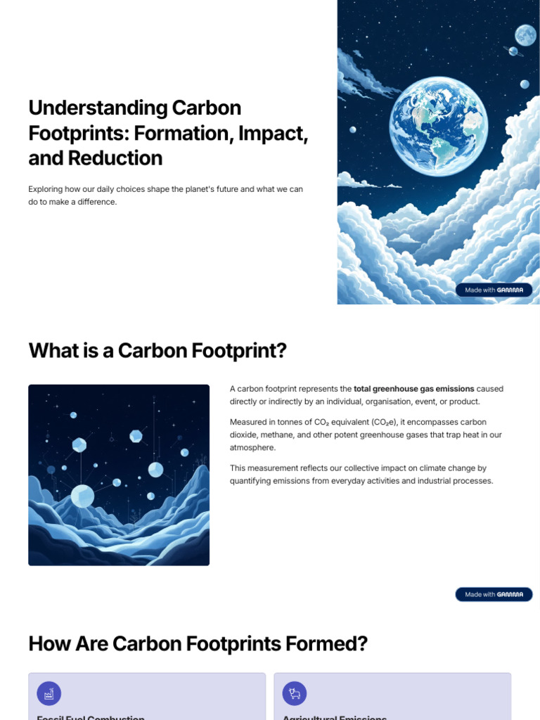 Understanding Carbon Footprints and Reduction | PDF | Carbon Footprint ...