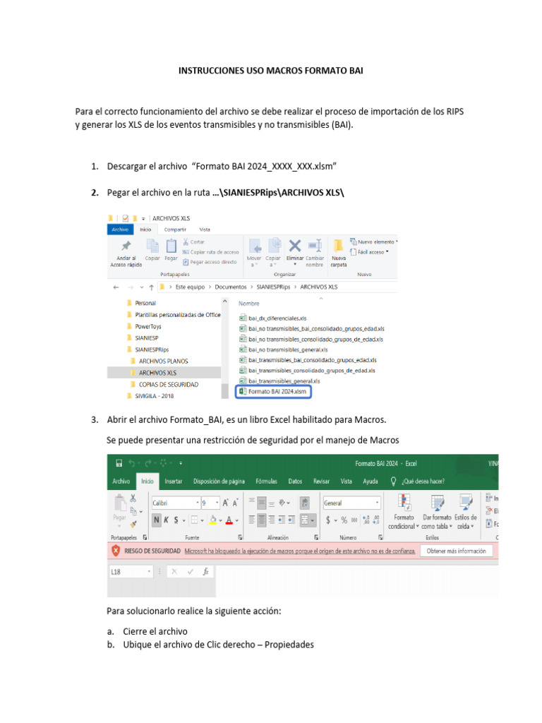 Instrucciones para Usar Macros BAI en Excel | PDF