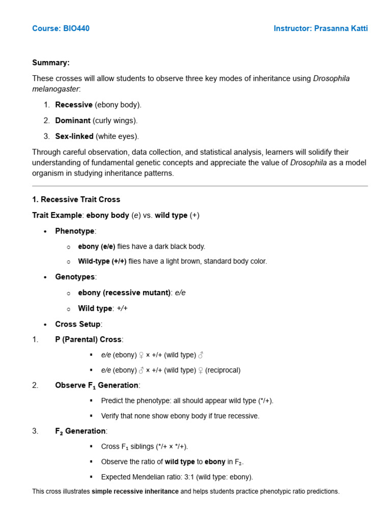 Drosophila Inheritance Patterns Lab | PDF | Dominance (Genetics) | Genotype