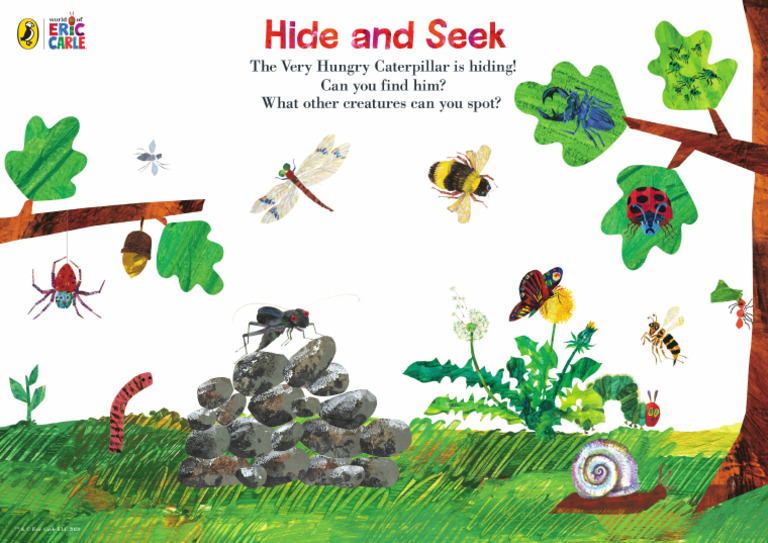 Hide and Seek | PDF