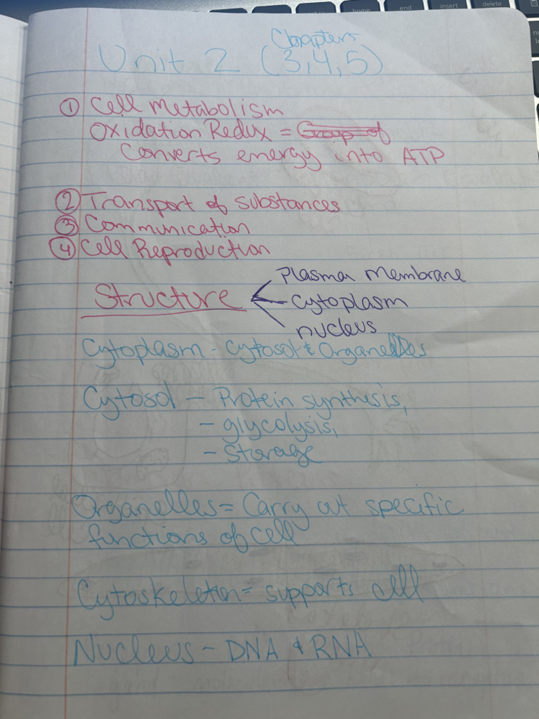 Notes 2 | PDF
