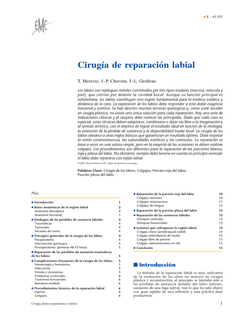 Cirugía de La Reparación Labial | PDF | Labio | Cirugía