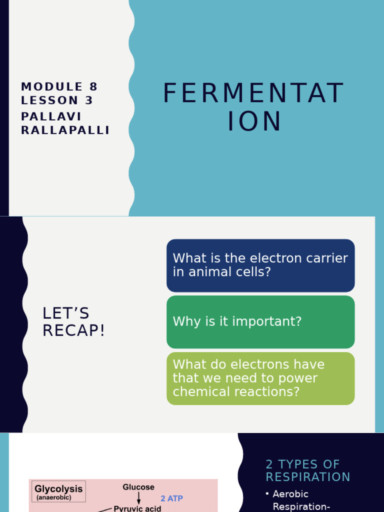 M8L3 Fermentation HBiology | PDF