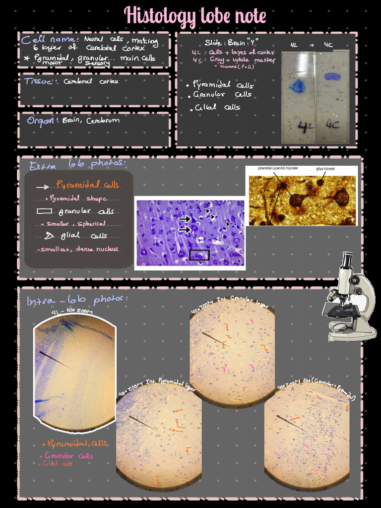 Histology Lab | PDF