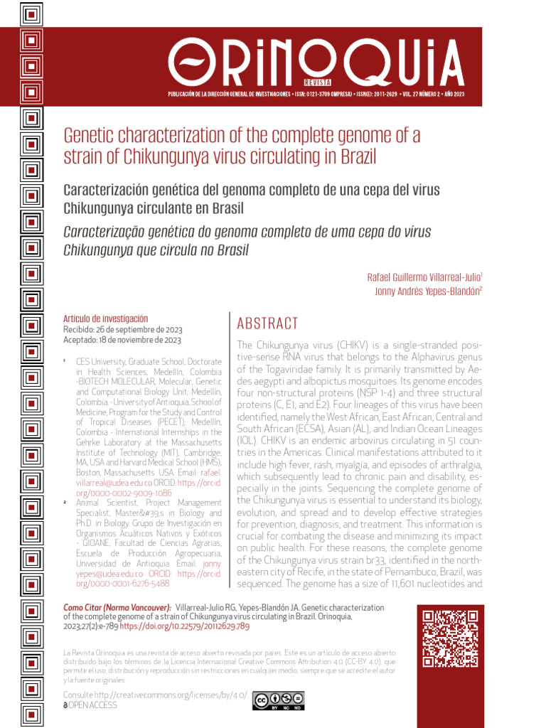 Genome of A Strain of Chikungunya Virus | PDF | Enfermedades animales ...