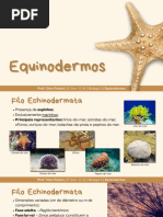 Biologia e Características dos Equinodermos | PDF | Zoologia