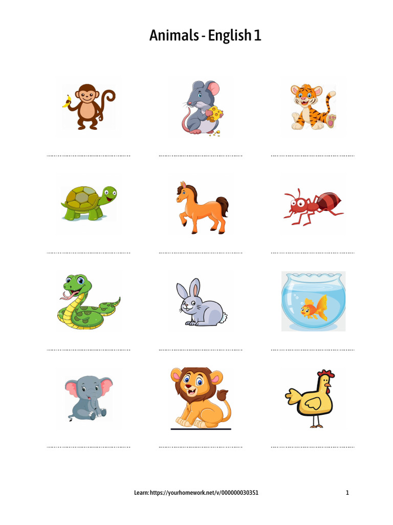 English Vocabulary: Animals Lesson | PDF