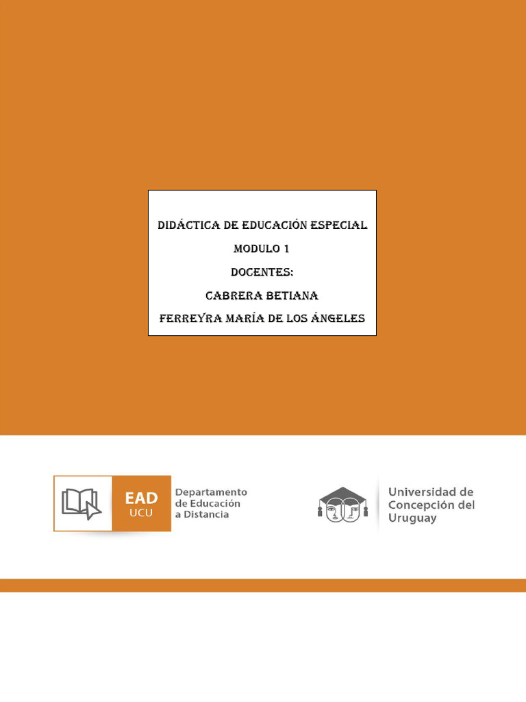 Didáctica del Currículum en Educación Especial | PDF | Plan de estudios ...