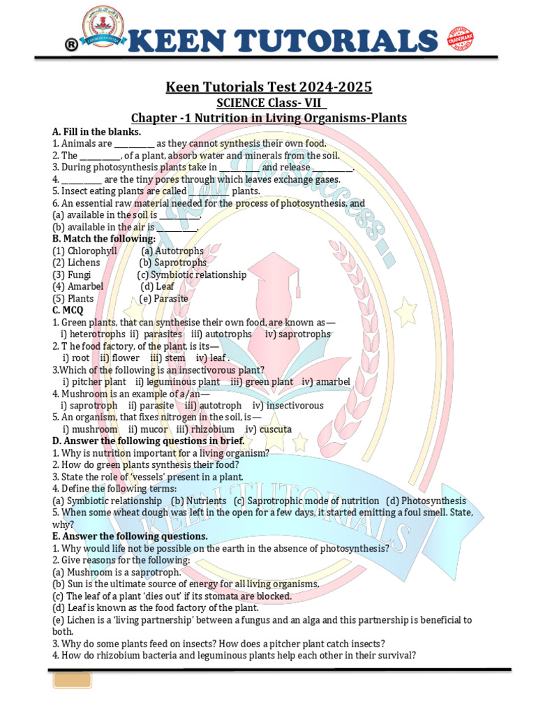 KT Test Class VII SCIENCE 2024-25 | PDF | Plants | Nutrition