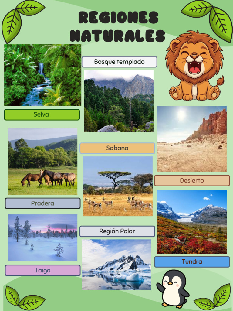 Regiones Naturales del Mundo | PDF
