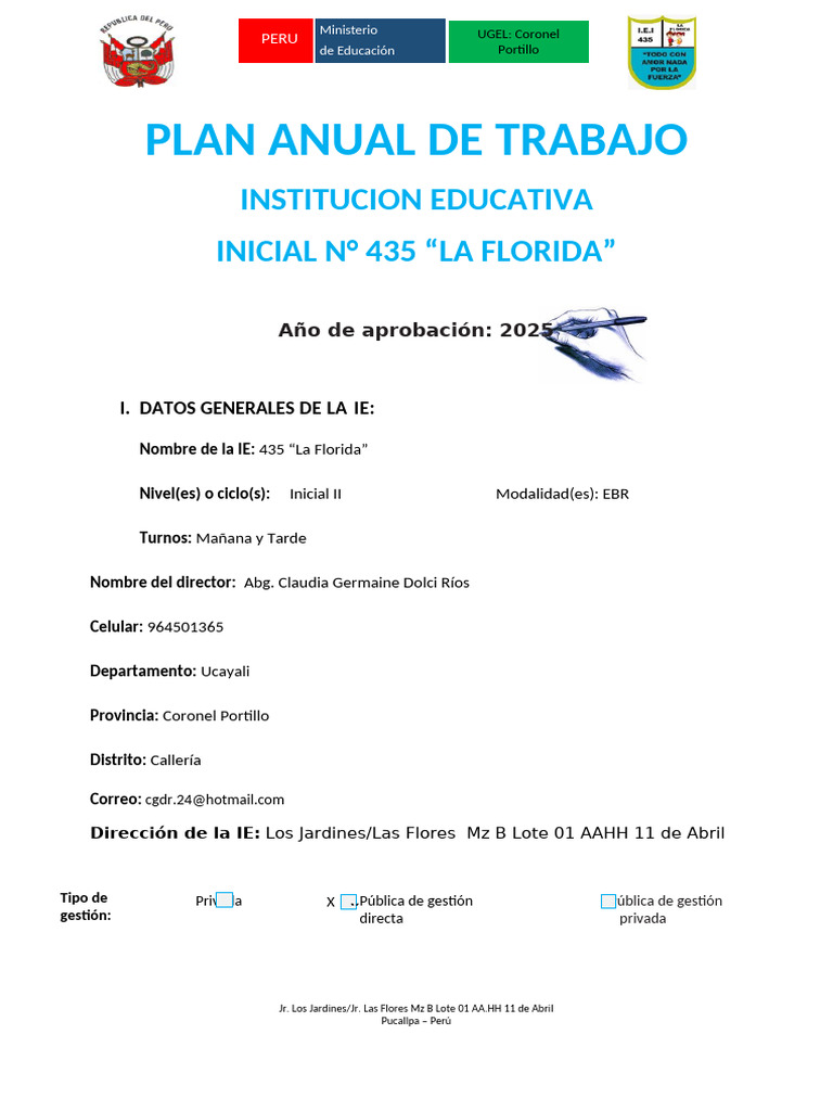 Plan Anual 2025 IEI N° 435 La Florida | PDF | Enseñando | Plan de estudios